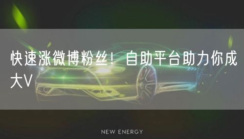 “快速涨微博粉丝！自助平台助力你成大V