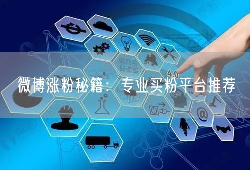 “微博涨粉秘籍：专业买粉平台推荐