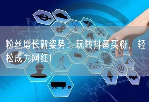 “粉丝增长新姿势:玩转抖音买粉,轻松成为网