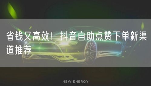 “省钱又高效！抖音自助点赞下单新渠道推荐
