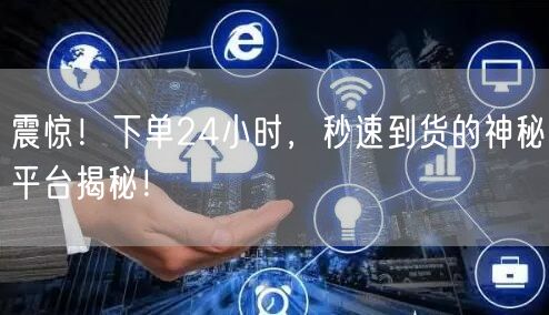 “震惊!下单24小时,秒速到货的神秘平台揭