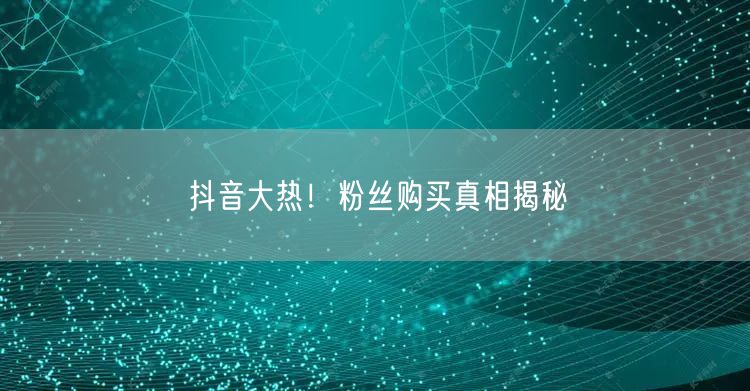 “抖音大热!粉丝购买真相揭秘