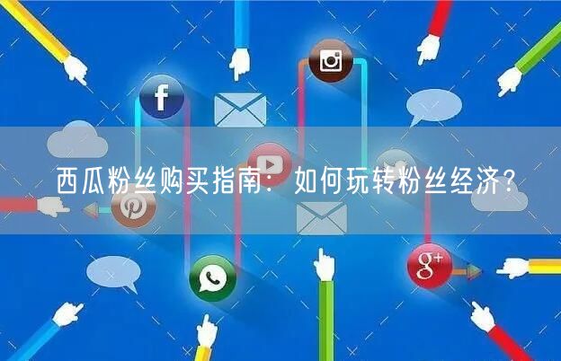 “西瓜粉丝购买指南：如何玩转粉丝经济？