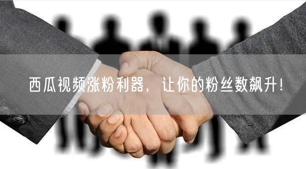 “西瓜视频涨粉利器，让你的粉丝数飙升！