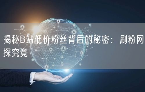 “揭秘B站低价粉丝背后的秘密：刷粉网探究竟