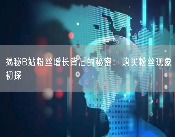 “揭秘B站粉丝增长背后的秘密:购买粉丝现象