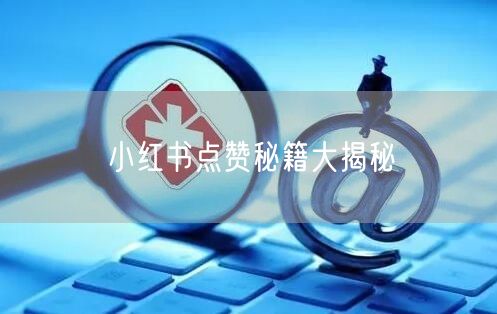 “小红书点赞秘籍大揭秘