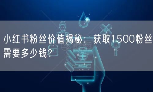 “小红书粉丝价值揭秘：获取1500粉丝需要