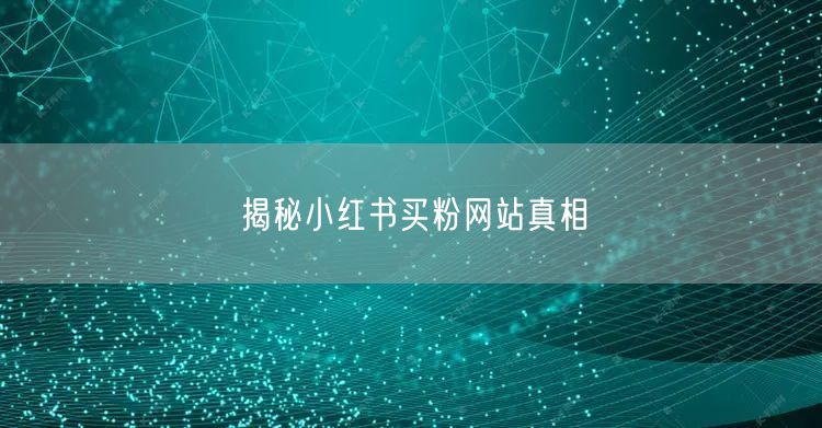 “揭秘小红书买粉网站真相