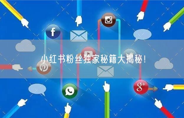 “小红书粉丝独家秘籍大揭秘！