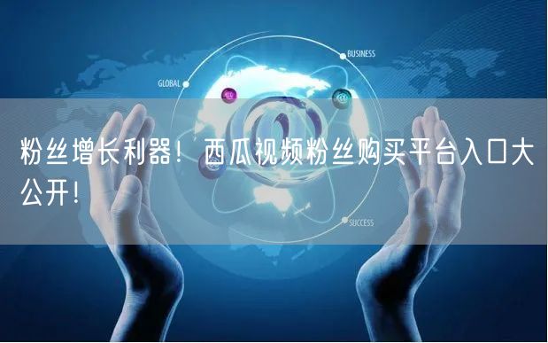 “粉丝增长利器！西瓜视频粉丝购买平台入口大