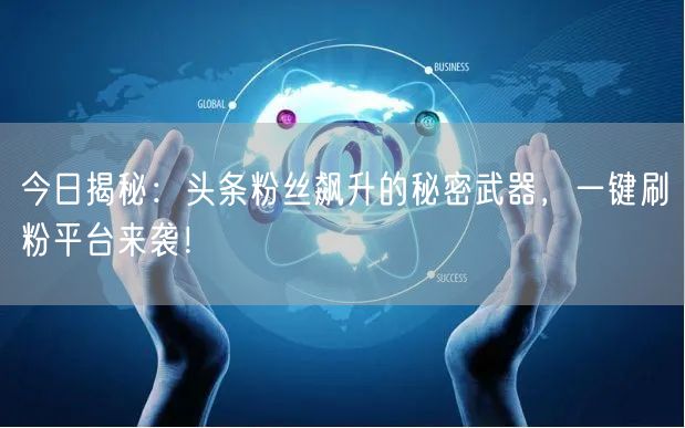 “今日揭秘：头条粉丝飙升的秘密武器，一键刷