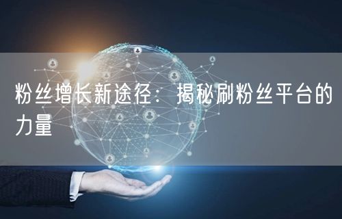 “粉丝增长新途径：揭秘刷粉丝平台的力量