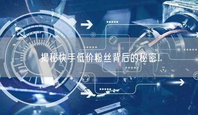 “揭秘快手低价粉丝背后的秘密！