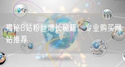 “揭秘B站粉丝增长秘籍：专业购买网站推荐